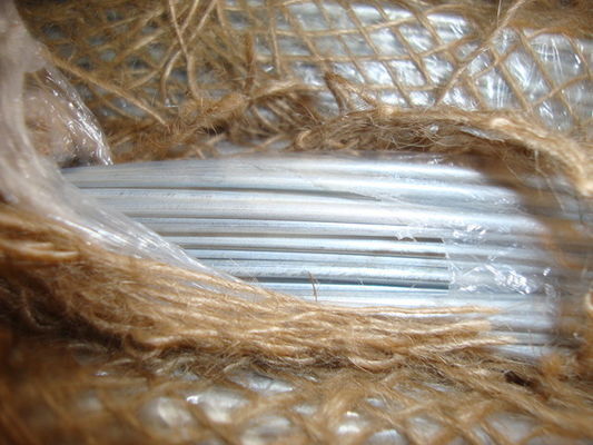 Soft 1.2mm Galvanized Bending Iron Wire , BWG19 Wire For Binding / Galvanized Wire